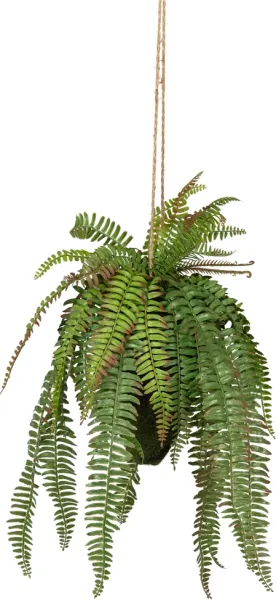 Fern, Kunstpflanze, grün, H58x30x30 cm